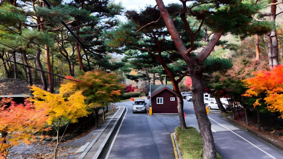성주산휴양림 입구