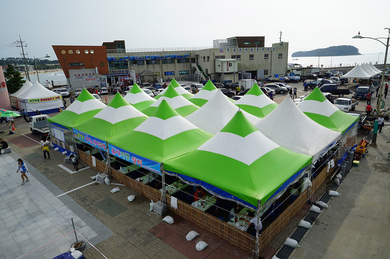 대하전어축제 사진