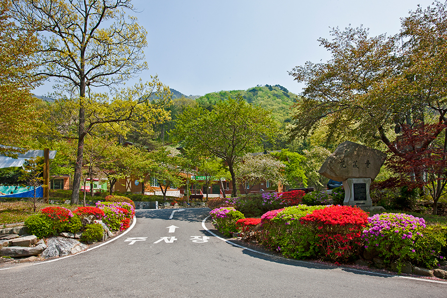 성주산휴양림 시설